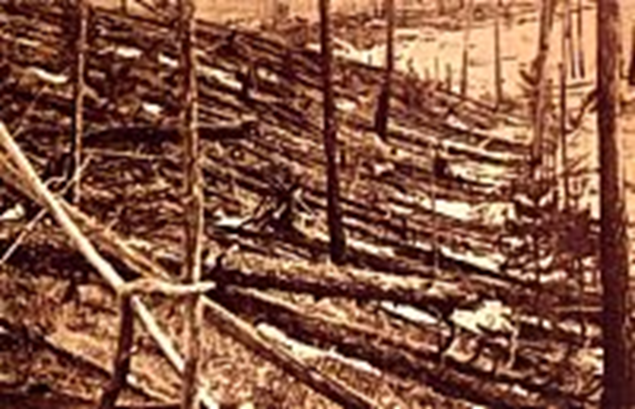 Árboles calcinados y caídos durante el evento de Tunguska (fotografía de la expedición de Kulik, 1927)